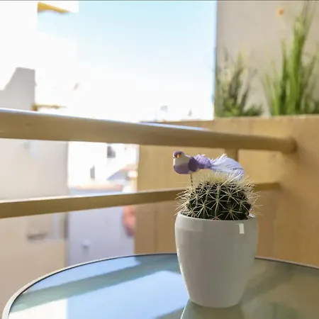 Apartmán Casa Livia - Centro