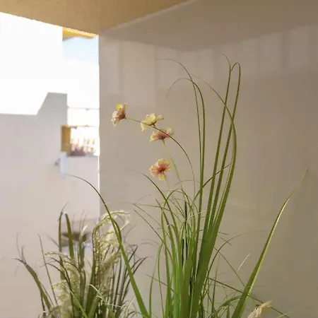 Casa Livia - Centro Apartmán